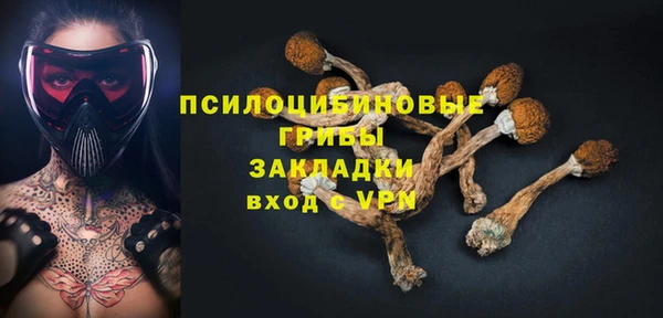 винт Пестово