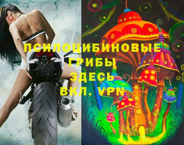 винт Пестово