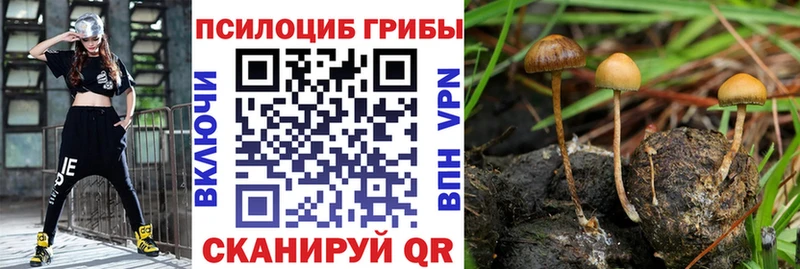 Галлюциногенные грибы Cubensis магазин продажи Анадырь